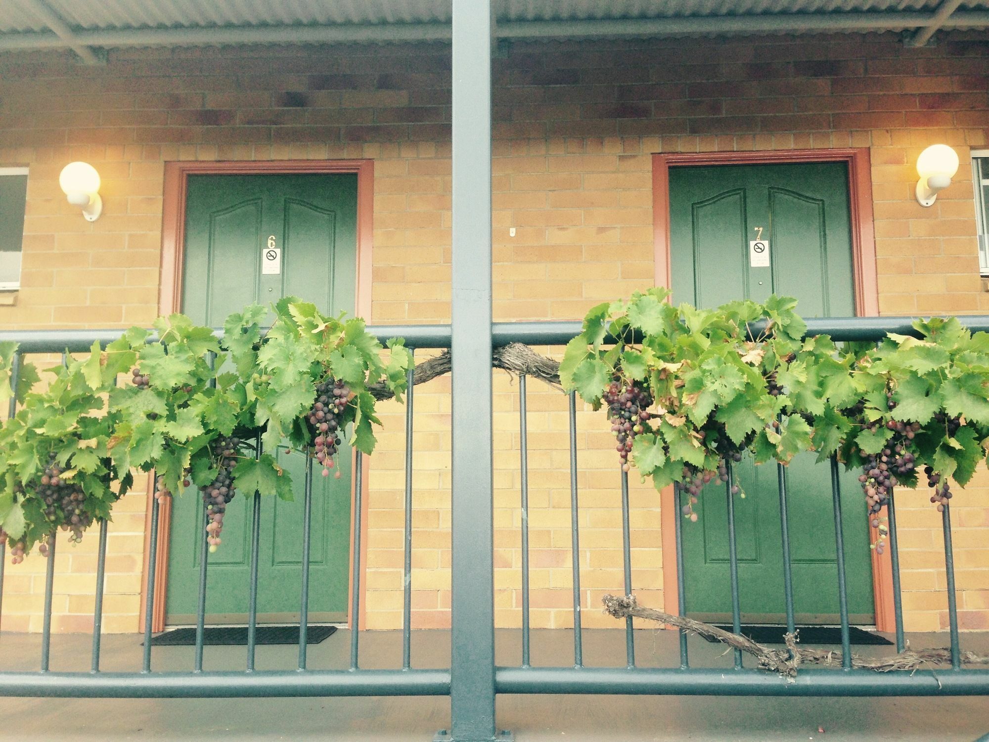 The Vines Motel & Cottages Станторп Екстер'єр фото